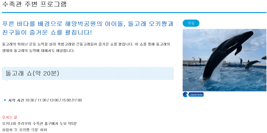 오키짱 극장 - 돌고래 쇼 시간